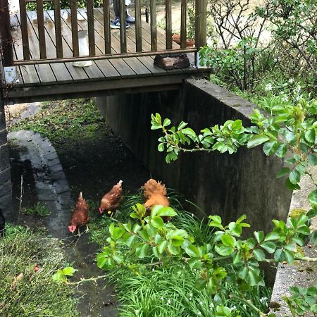 Chambres D'Hotes Manoir Ker-Huella Morlaix Eksteriør bilde
